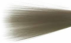 Mayfly Tails