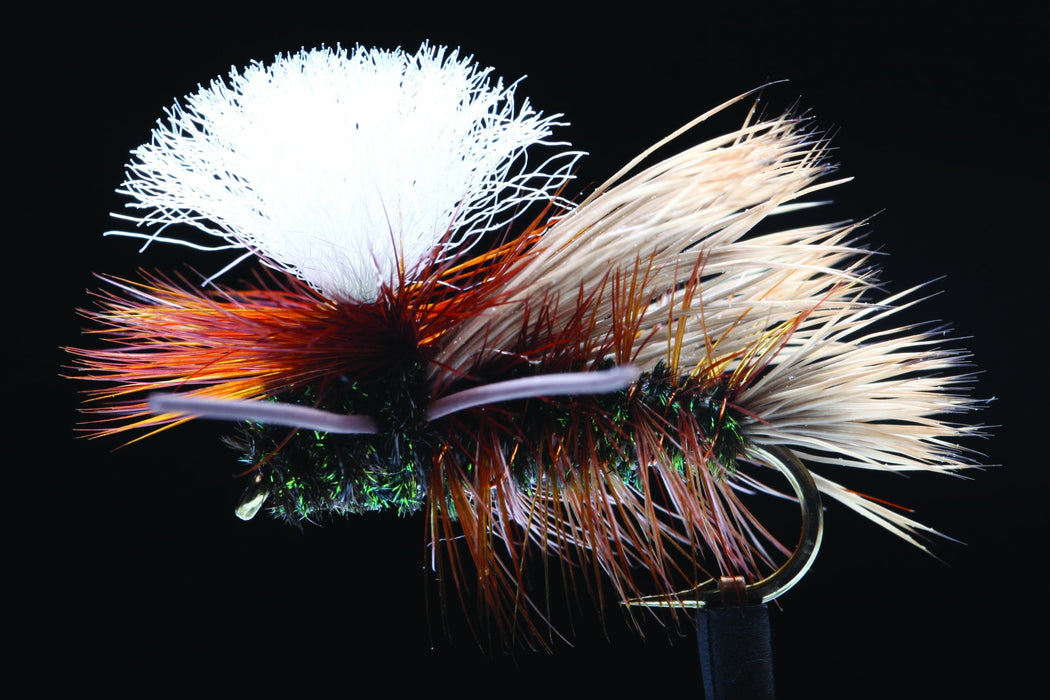 Manic Swishers PMX Peacock