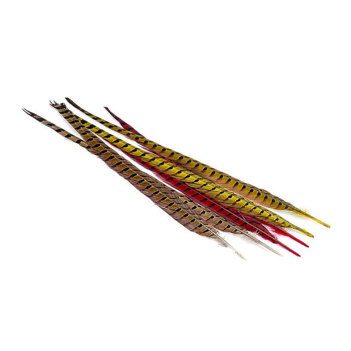 Wapsi Ringneck Pheasant Tail Feathers