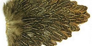 Wapsi Soft Hackle Hen Saddle Patches