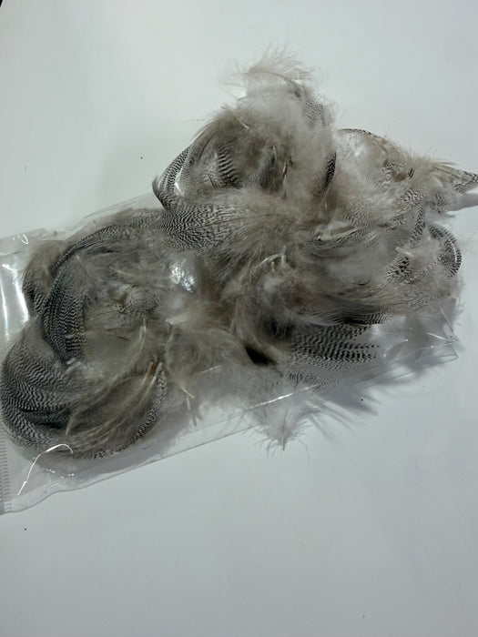 Mallard Feathers