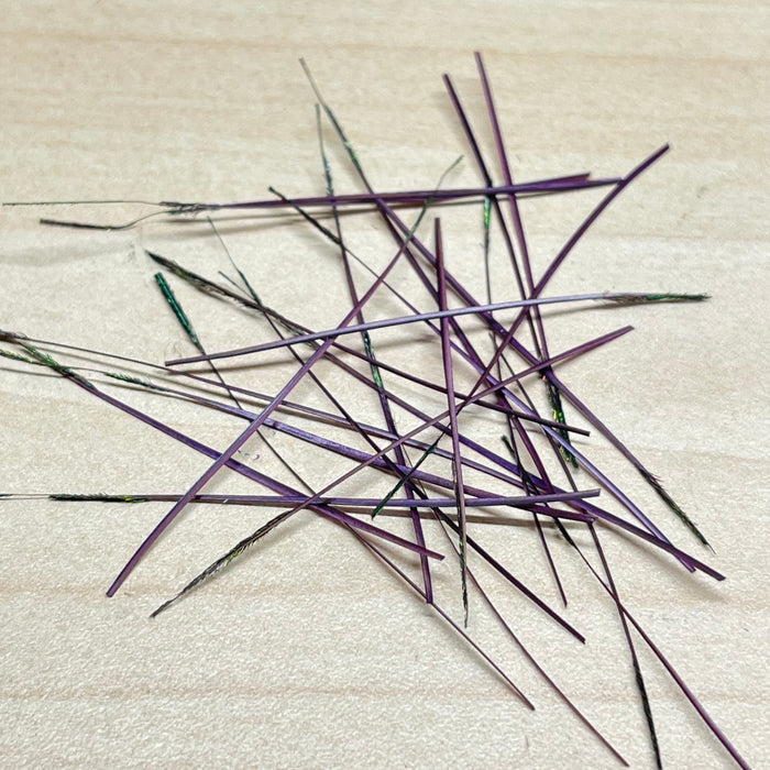 Polish Quills Hand Stripped Quills