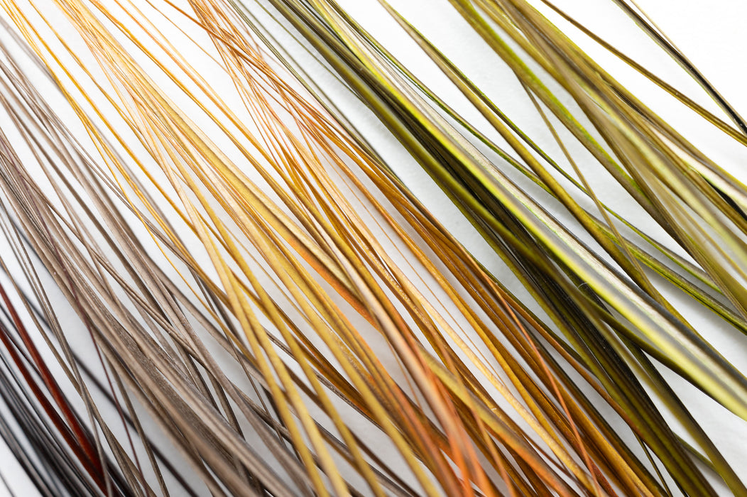 Fulling Mill Stripped Quills