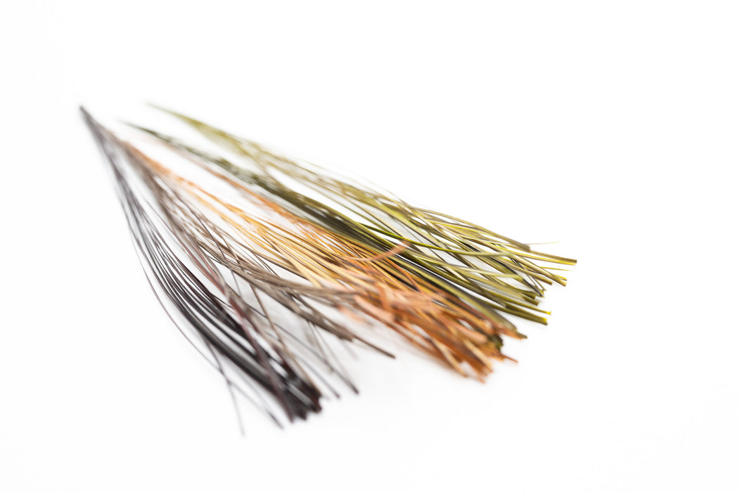 Fulling Mill Stripped Quills