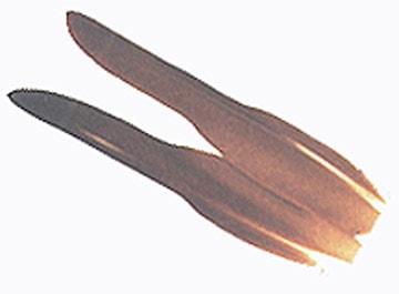 Wapsi Goose Quills