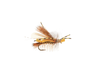 umpqua foamulator golden fly