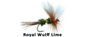 Umpqua royal wulff lime