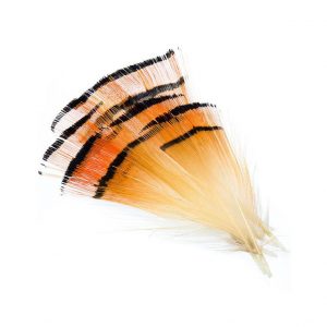 golden pheasant loose tippets